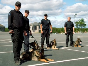 Halifax Regional Police K9 Unit